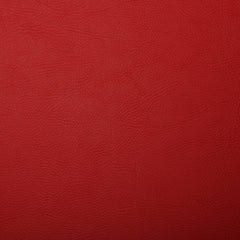 PVC/Polyester Backing Leatherlook – Matt FR PVC 53