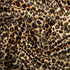 C4631 LEOPARD