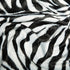 C4635 ZEBRA