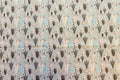Trees Grey Blue Red Designs Christmas Fabric Polycotton : Half Meter